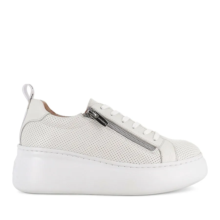 AMBOR A2612 - OFF WHITE LEATHER