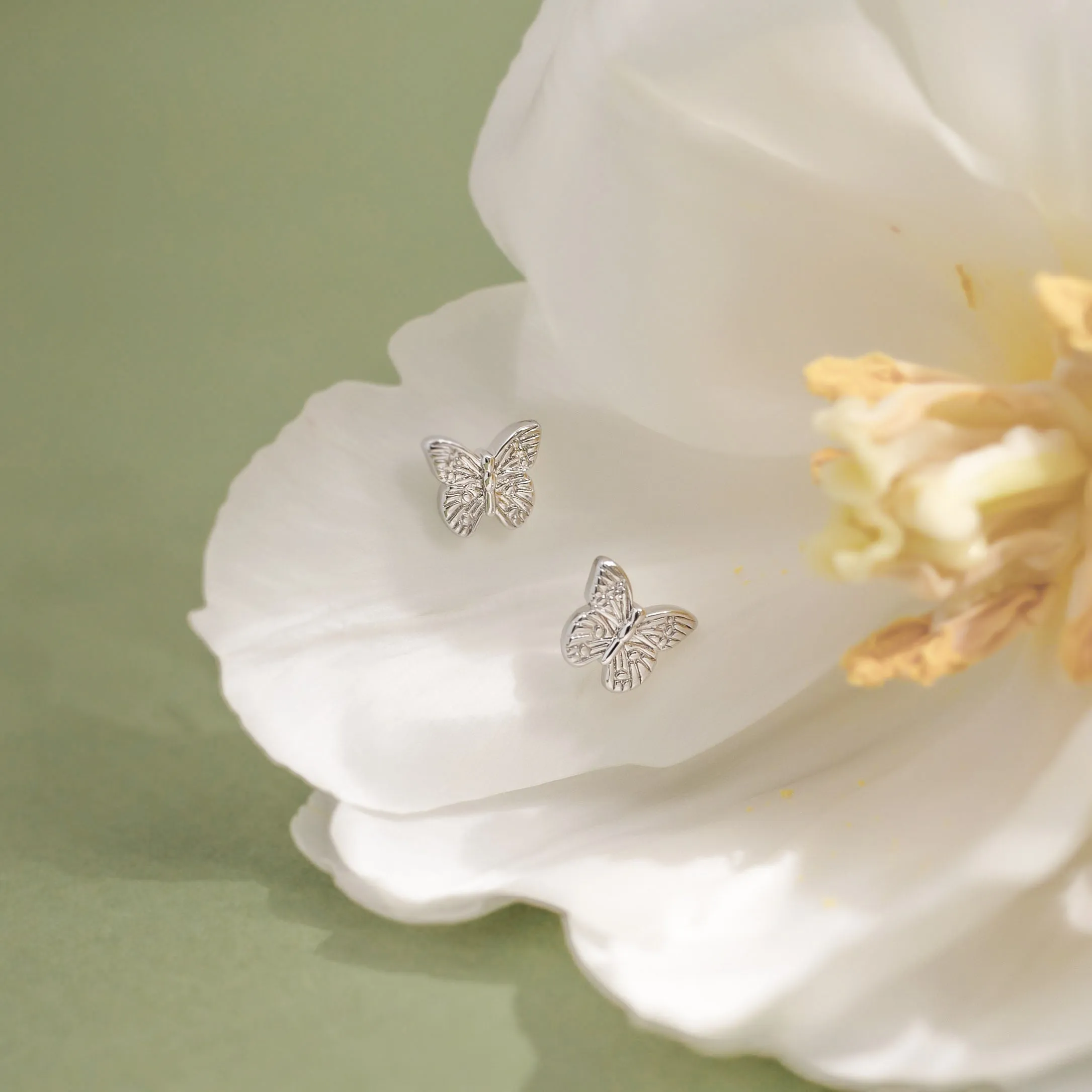 Elyse Butterfly Studs